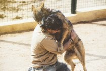 Человек борется с волком в клетке в зоопарке — стоковое фото