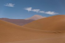 Dune nel deserto — Foto stock