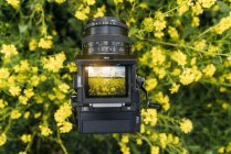 Close-up of Retro photo camera with photo of nature with yellow flowers on display — Stock Photo