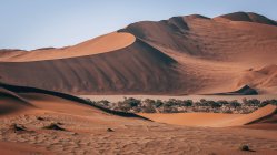 Dunas arenosas em dia ensolarado no deserto da Namíbia — Fotografia de Stock