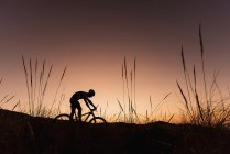 Side view of Bicyclist riding downhill — Stock Photo