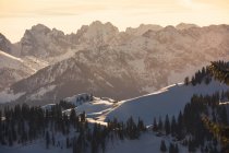 Живописный вид на горы, покрытые лесом и снегом в зимний солнечный день. — стоковое фото