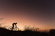 Vista lateral da silhueta da pessoa que monta na descida da bicicleta nas luzes do por do sol. — Fotografia de Stock