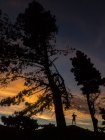 Blick von unten auf einen anonymen Reisenden, der auf einem Hügel mit immergrünen Baumsilhouetten vor buntem Himmel steht — Stockfoto