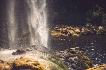 Тонкий поток воды падает со скалы в величественных мексиканских джунглях — стоковое фото