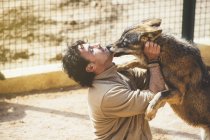 Чоловік грає з вовком в клітці в зоопарку — стокове фото