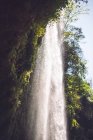 Majestosa cachoeira fluindo na selva, México — Fotografia de Stock