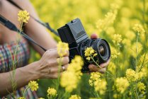 Primer plano de la mujer con cámara retro tomando fotos en la naturaleza con flores amarillas - foto de stock