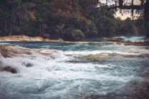 Ruisseau bleu coulant dans la jungle mexicaine — Photo de stock
