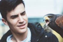 Close-up of Man looking at falcon sitting on hand — Stock Photo