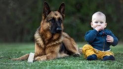 Милый маленький мальчик сидит с большой собакой на зеленой лужайке и смотрит в камеру — стоковое фото