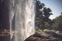 Chute d'eau tombant de la falaise dans la jungle mexicaine majestueuse — Photo de stock
