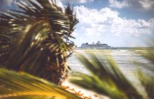 Palm trees on coast with ship on background — Stock Photo