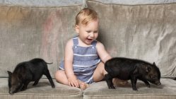 Mignon petit garçon assis avec deux petits cochons noirs mini sur le canapé — Photo de stock
