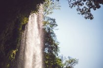 Поток воды, падающий со скалы в мексиканских джунглях — стоковое фото