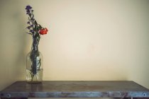 Vase with flowers on table in front of wall — Stock Photo
