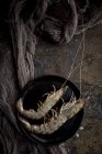 Сырые королевские креветки на черной тарелке — стоковое фото