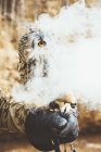 Крупным планом совы, сидящей на руке с кожаной перчаткой в дыму — стоковое фото