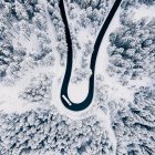 From above bus driving and turning on thin road in white winter forest. — Stock Photo