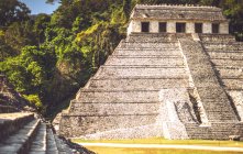 Mayan pyramid and trees in Palenque city, Chiapas, Mexico — Stock Photo