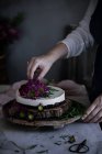 Крупним планом жінка прикрашає вишуканий торт квітами — стокове фото