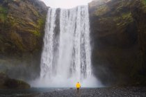 Homme debout près de la cascade — Photo de stock