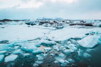 Morceaux de glace flottant dans l'eau de mer — Photo de stock