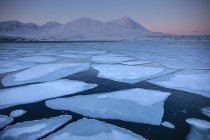 Enormi blocchi di ghiaccio sull'acqua — Foto stock