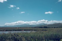 Amazing picturesque landscape view of mountains blue sky clouds and lake with high grass — Stock Photo