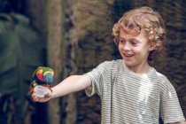 Menino da idade elementar alimentando papagaio colorido no zoológico . — Fotografia de Stock