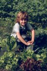 Portrait of boy sitting in orchard — Stock Photo