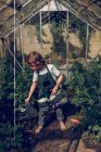 Junge gießt Pflanzen im Gewächshaus — Stockfoto