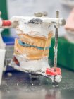 Denti artificiali su supporto — Foto stock