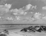 Black and white picturesque view of sandy coastline with grass in windy weather, Belgium. — Stock Photo