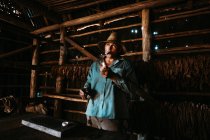 La habana, cuba - 1. Mai 2018: Einheimischer raucht Zigarre zwischen Tabaktrocknung in Bauernscheune. — Stockfoto