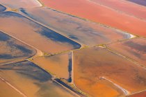 Оранжевые поля и болото — стоковое фото
