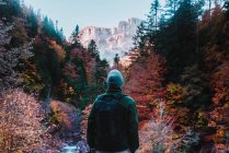 Людина стоїть в осінньому лісі — стокове фото
