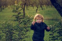 Rapaz feliz mostrando folha verde — Fotografia de Stock