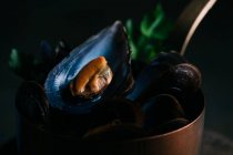 Boiled fresh mussels — Stock Photo