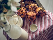 Leite e muffins com chocolate — Fotografia de Stock