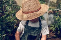 Мальчик в оранжерее — стоковое фото