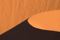 Sandy dune in desert — Stock Photo