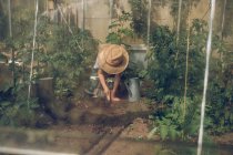 Мальчик, работающий в почве в теплице — стоковое фото
