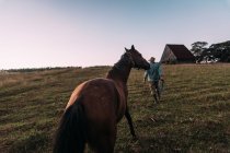 Back view of man with horse walking back home in twilight on green rural field of Cuba. — Stock Photo
