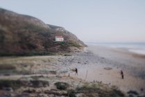 Persone che camminano sulla spiaggia — Foto stock