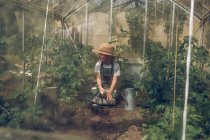 Boy working in greenhouse — Stock Photo