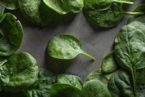 Grüne Spinatblätter auf grauem Hintergrund — Stockfoto