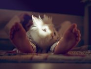Legs of boy and white bunny — Stock Photo