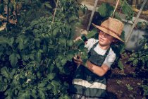 Хлопчик перевіряє рослини в теплиці — стокове фото