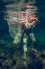 Crop pieds nus homme portant femme méconnaissable en robe blanche dans les bras tout en se tenant dans l'eau de mer. — Photo de stock